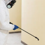Pest Control Tips: Keeping Your Home and Office Safe in Nairobi